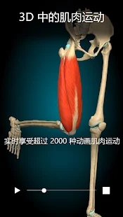 3D解剖學app官方版(Anatomy Learning)