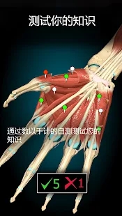 3D解剖學app官方版(Anatomy Learning)
