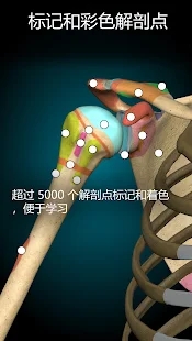 3D解剖學app官方版(Anatomy Learning)