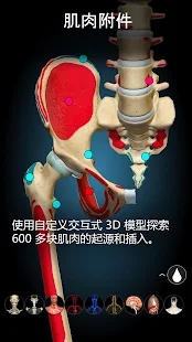 3D解剖學app官方版(Anatomy Learning)