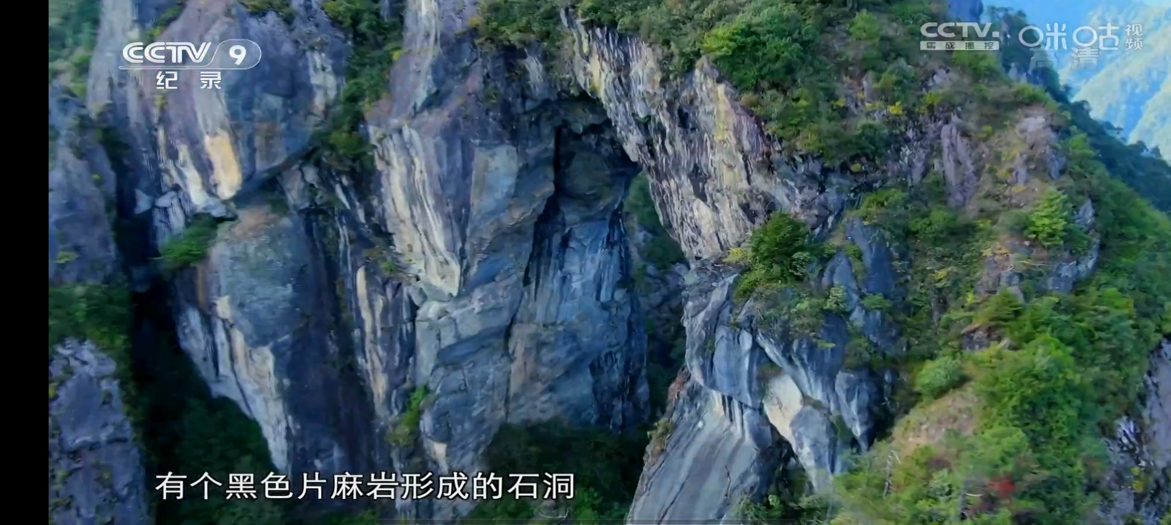 大清TV電視版