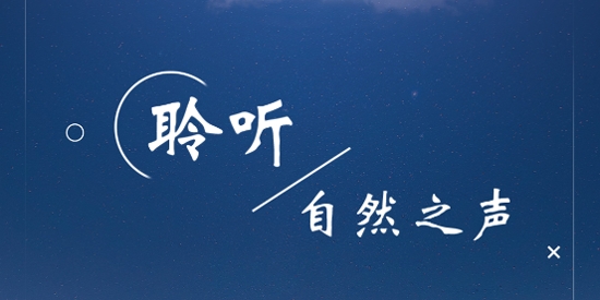 哄睡白噪音app最新版