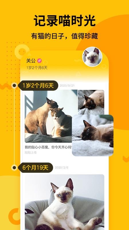 爪嘰