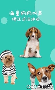 狗狗翻譯器免費(fèi)破解版