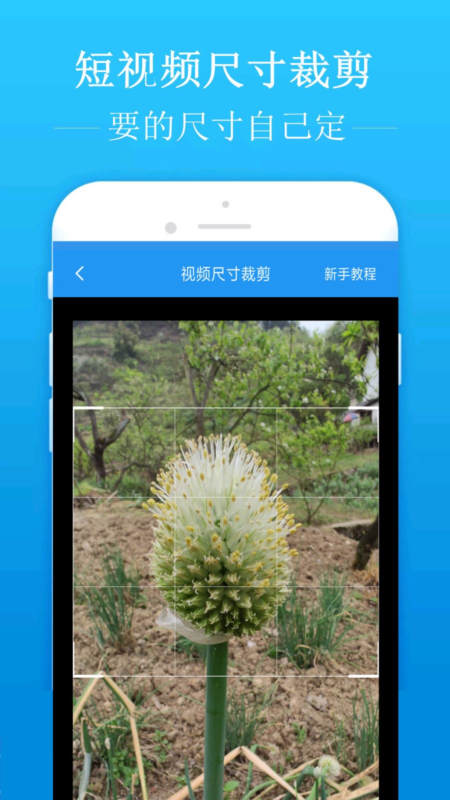 去水印吧1.8.1版本