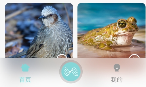 輕松白噪音app安卓版