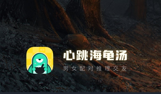 心跳海龜湯社交軟件