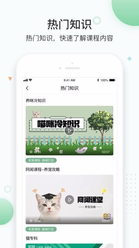 知躍