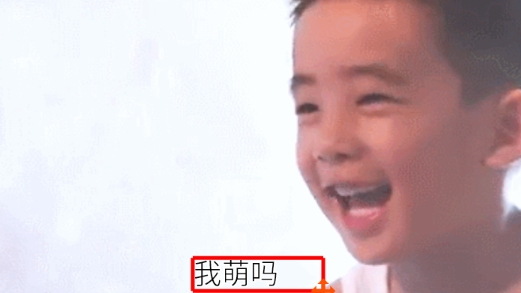 diy斗圖生成神器官方版