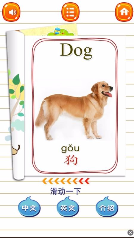 兒童學(xué)動物樂園