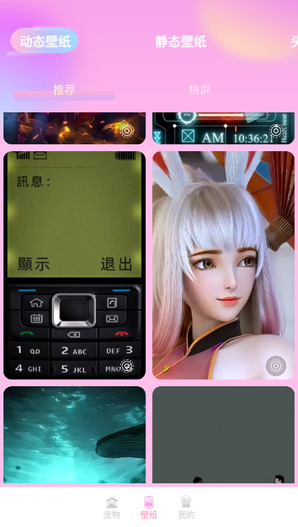 哈屏桌寵app官方版