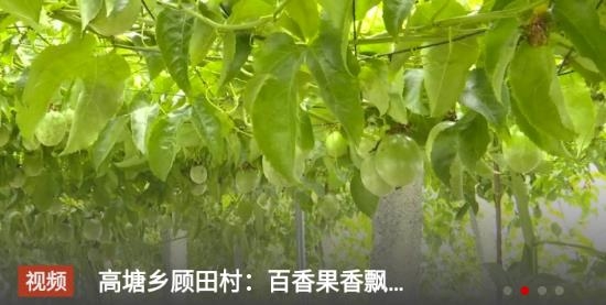 看德安手機(jī)客戶端