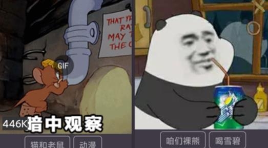 表情in表情包制作下載軟件