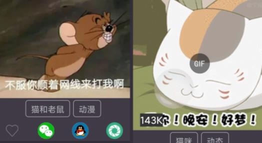 表情in表情包制作下載軟件