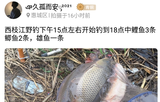 優(yōu)釣釣點(diǎn)共享平臺(tái)