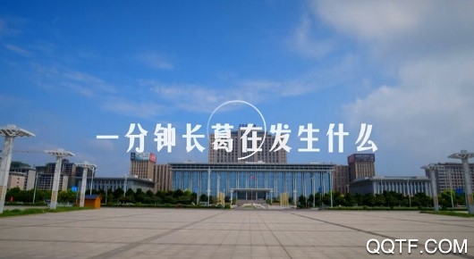 云上長葛客戶端