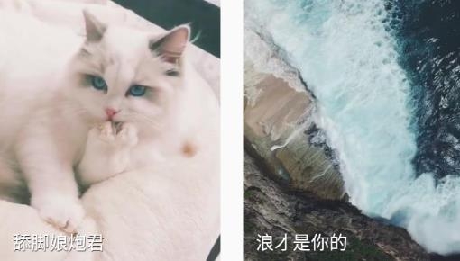 福星來(lái)電app安卓版