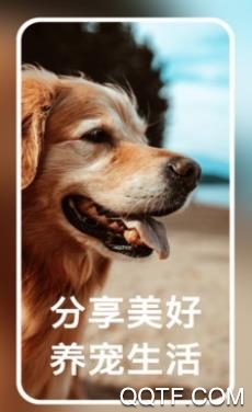 寵小幫app最新版
