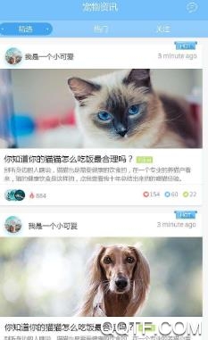 寵小幫app最新版