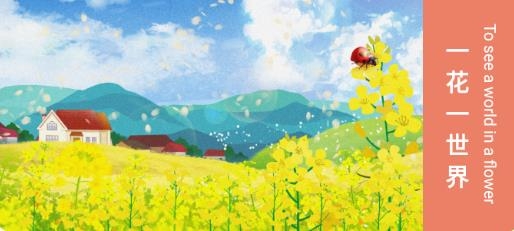 妙筆生花繪畫軟件