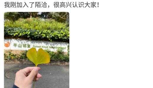 陌洽科技交友最新版