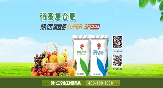 三寧物流app官方版