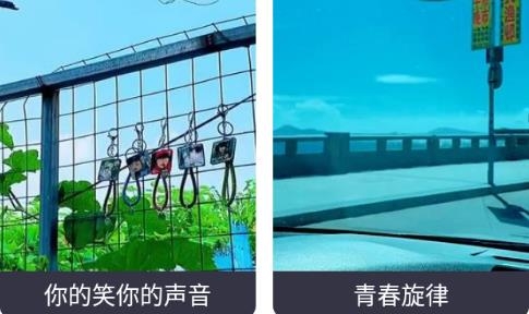 摩爾猜歌app安卓版