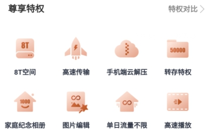 天翼云盤鉑金會員破解版