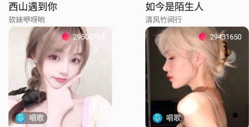 星空鳥交友最新版