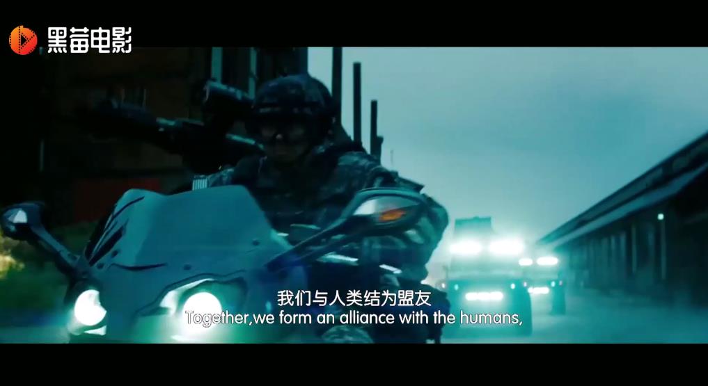 精品tv最新版