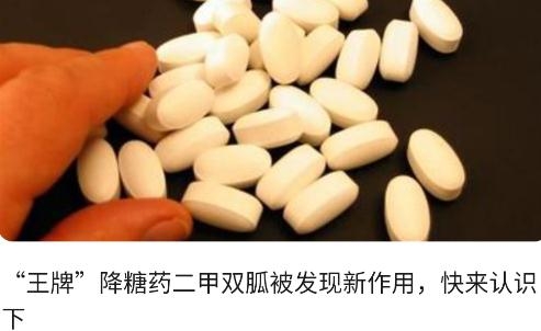 南山問道app最新版