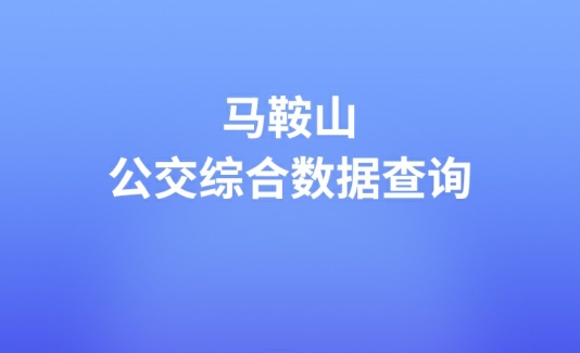 馬鞍山公交綜合數(shù)據(jù)查詢app安卓版