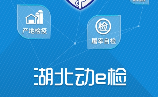 湖北動e檢安卓版