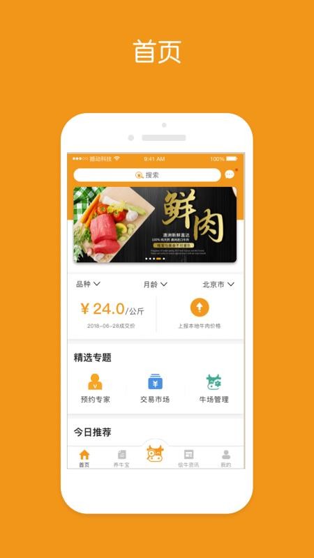 儈牛