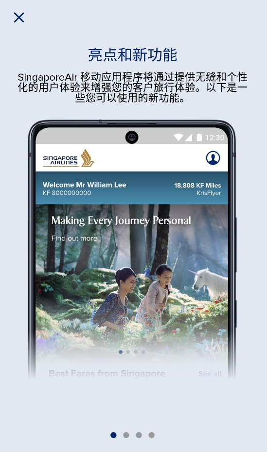 新加坡航空中文版