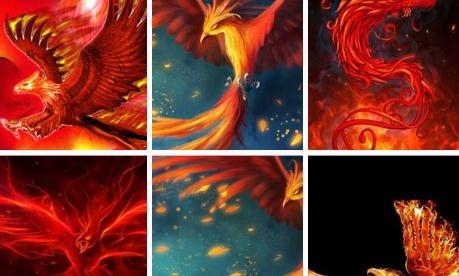 鳳凰壁紙app安卓版