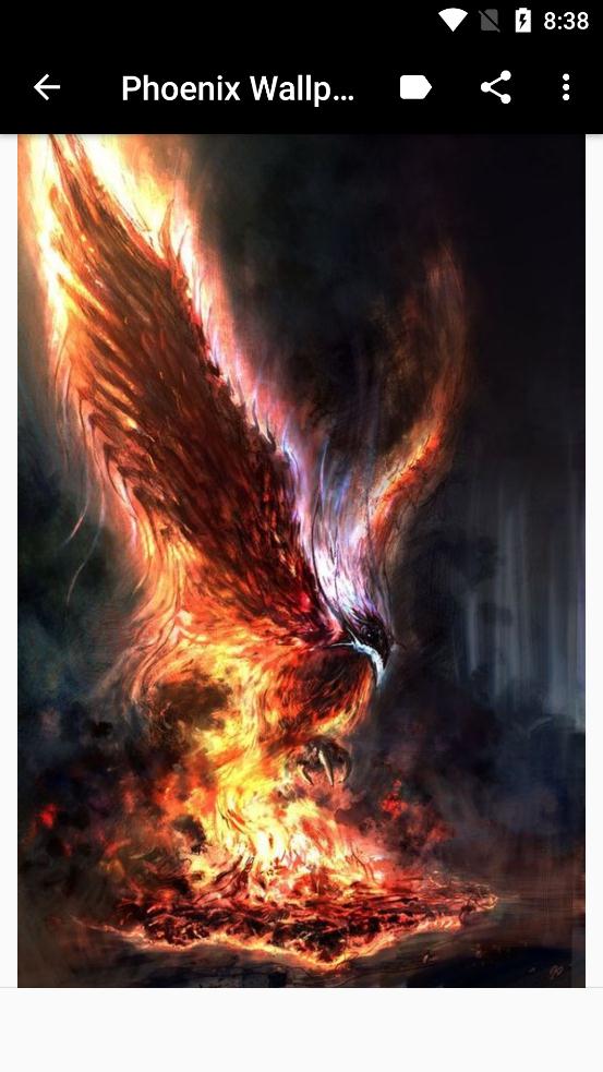 Phoenix Wallpaper(鳳凰壁紙app安卓版)