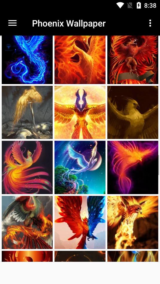Phoenix Wallpaper(鳳凰壁紙app安卓版)