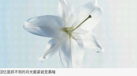 晚安語(yǔ)錄app官方版
