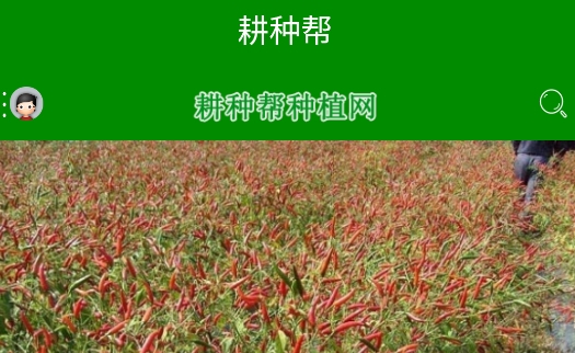 耕種幫種植網(wǎng)手機客戶端