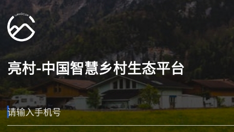 亮村app安卓版