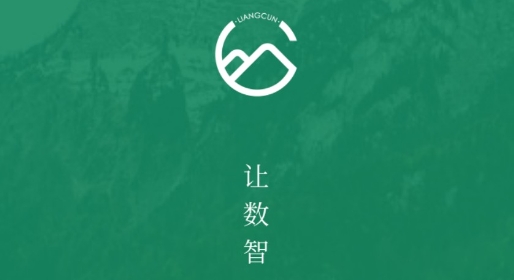 亮村app安卓版