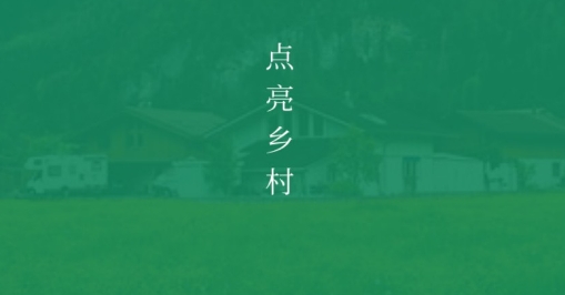 亮村app安卓版