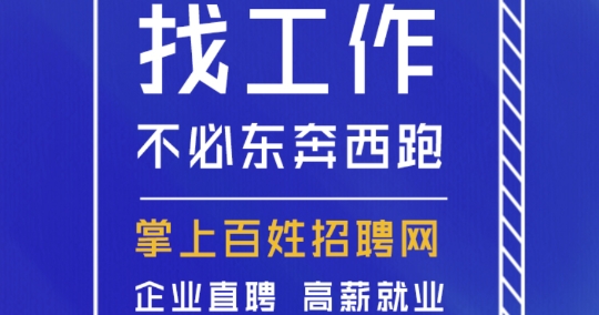 掌上百姓求職安卓版