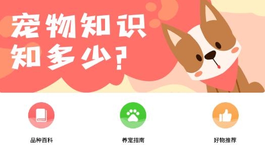 優(yōu)寵快報app安卓版