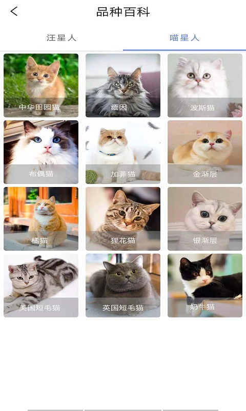 優(yōu)寵快報app安卓版