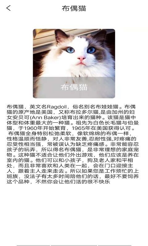 優(yōu)寵快報app安卓版