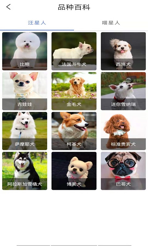 優(yōu)寵快報app安卓版