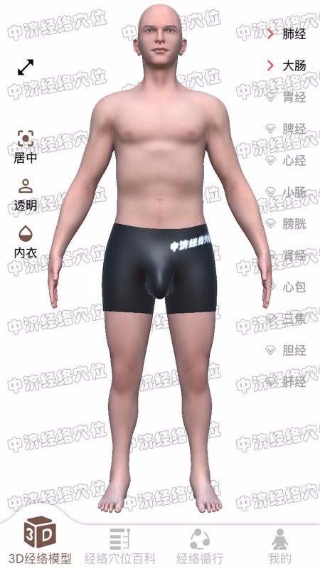 經(jīng)絡(luò)穴位3D