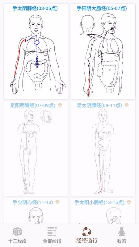 經(jīng)絡(luò)穴位3D